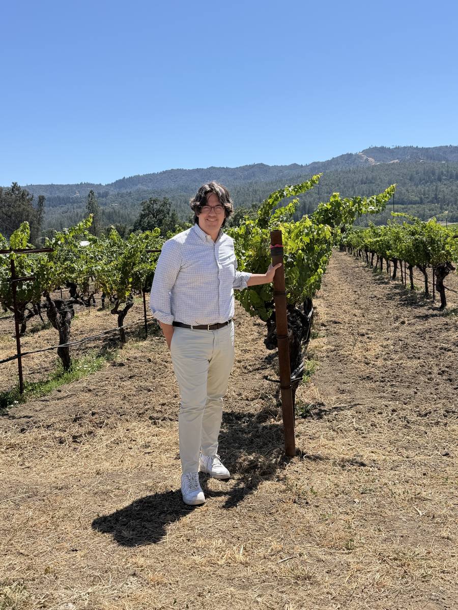 Martin-Sebastian Abel in a vineyard